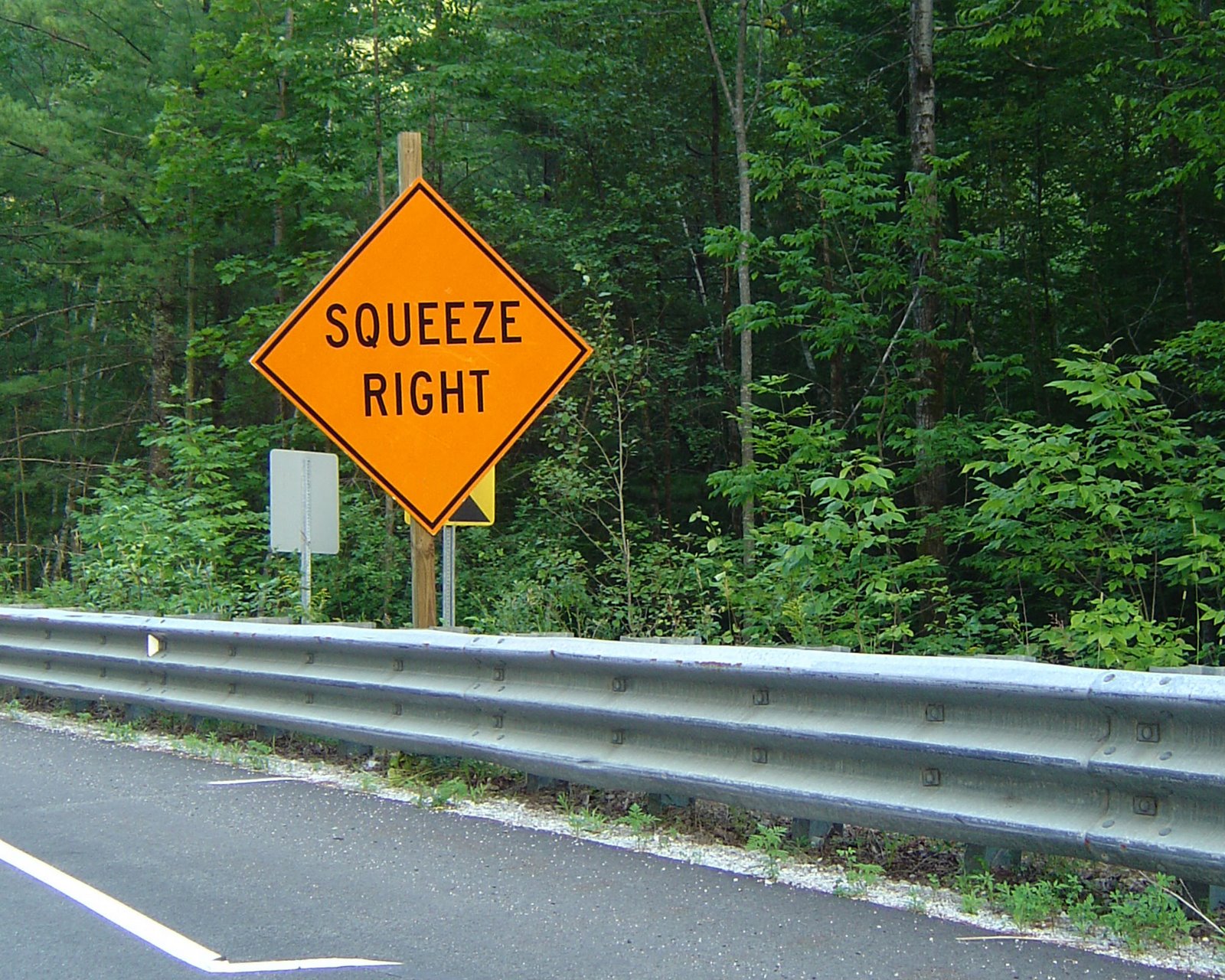 [squeeze+right.jpg]