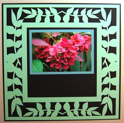 [LEf+frame+with+matted+4+x+6+hydrangea.jpg]