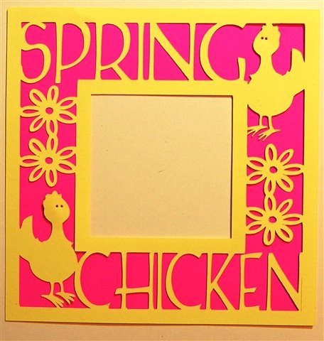 [Spring+Chicken+with+pink+background.jpg]