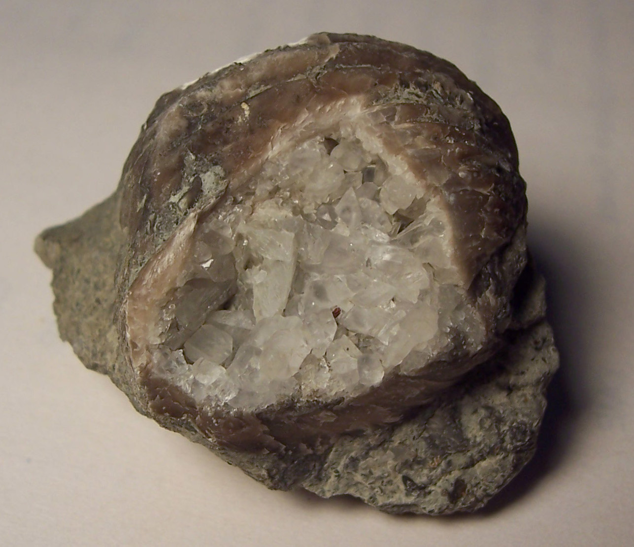 [brachiopod+containing+quartz.jpg]