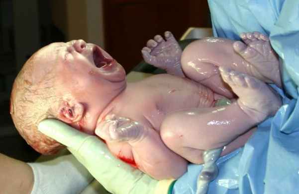 [Human_infant_newborn_baby.jpg]