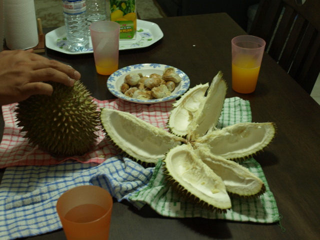 [durian2.jpg]