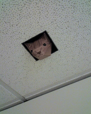 Papercraft ceiling cat