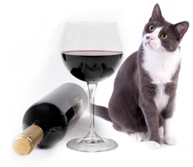 [catwine.htm]