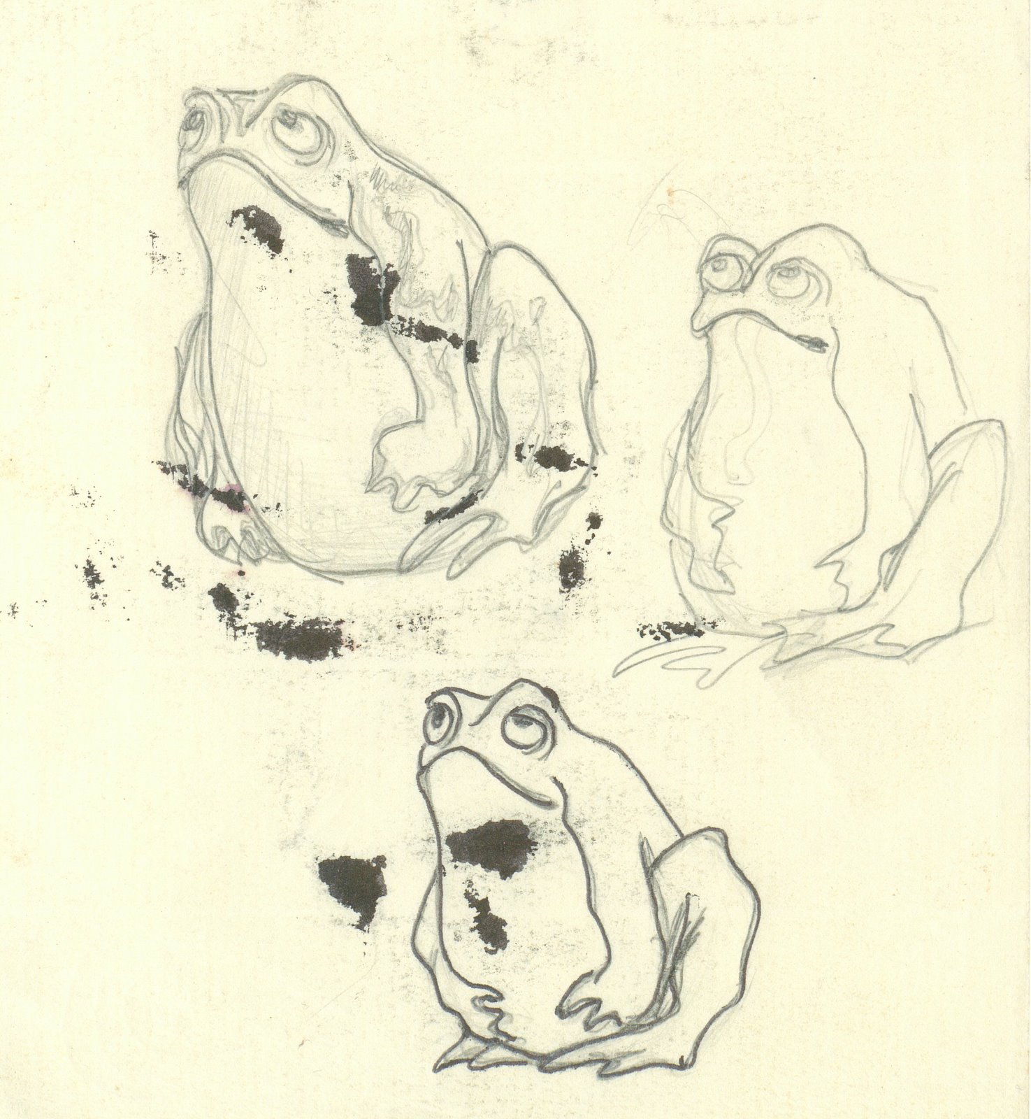 [Toad+gazing+at+the+moon+sketches.jpg]