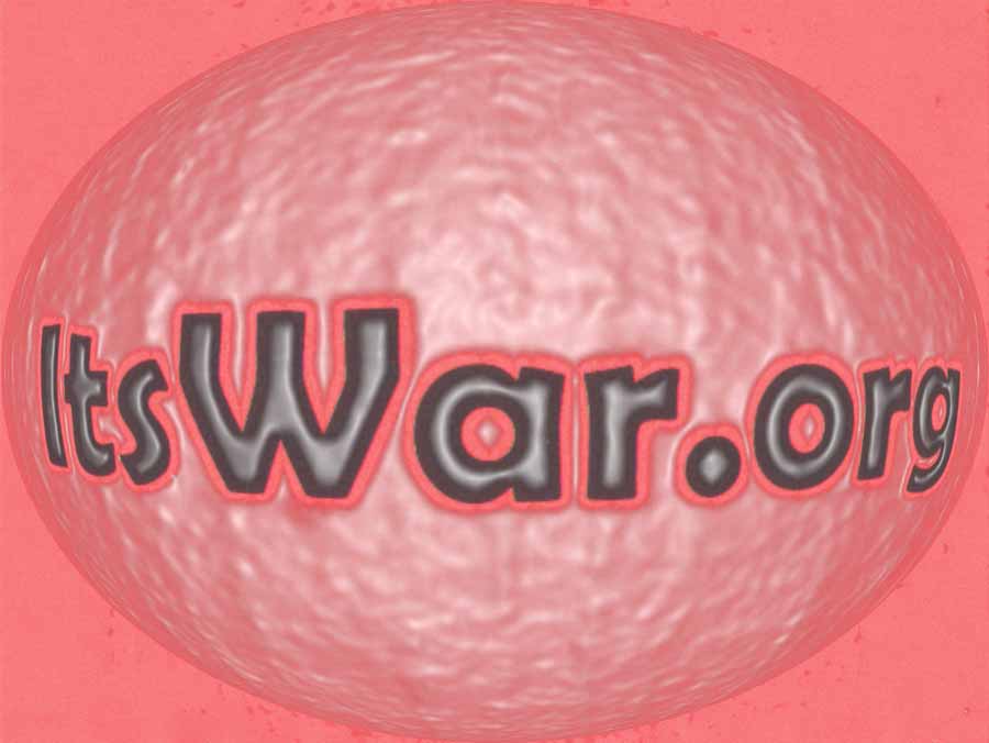 [itswar-org--logo-small.jpg]