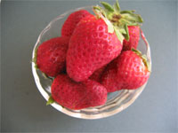 [strawberryharvest.jpg]