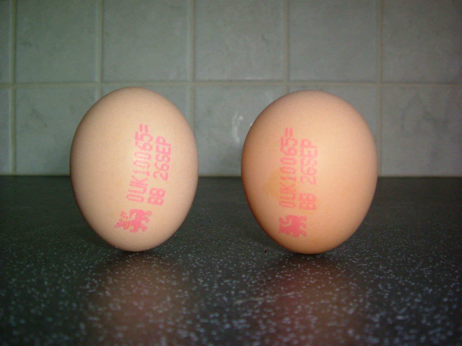 [Egg+Balancing+Day+2.jpg]