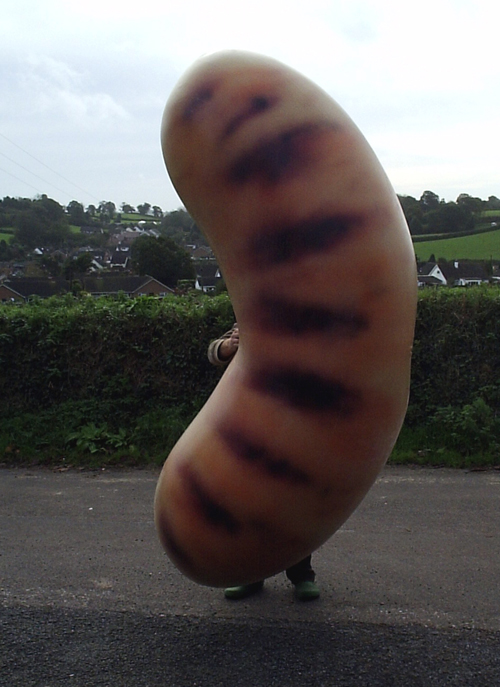 [giant+inflatable+sausage.jpg]