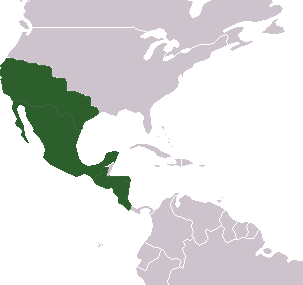 [First_Mexican_Empire_Map.png]