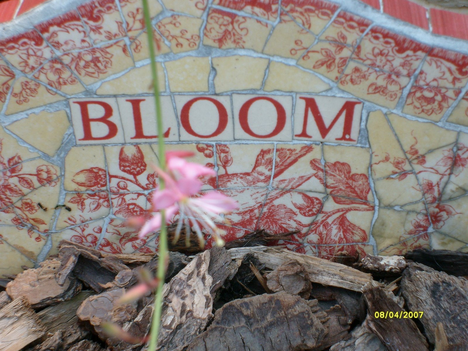 [Bloom+Sign.jpg]