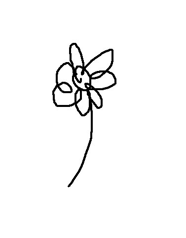 [fleur.bmp]
