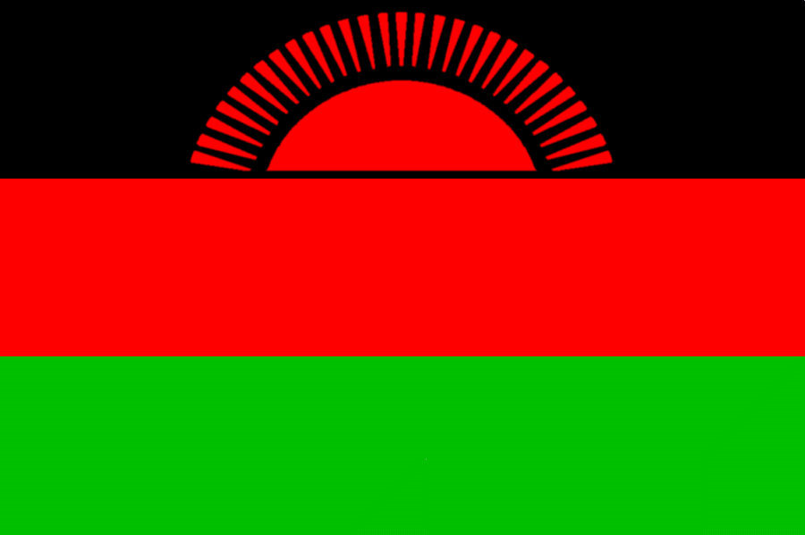 [malawi-flag.gif]