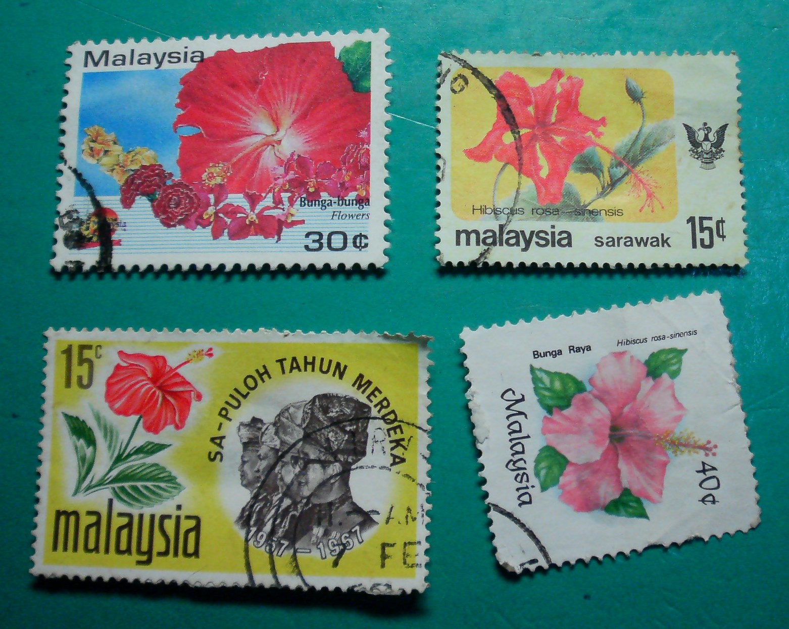 [19+jun,hibiscus+stamps.jpg]