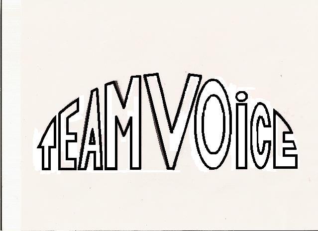 [team+voice+logo1.JPG]