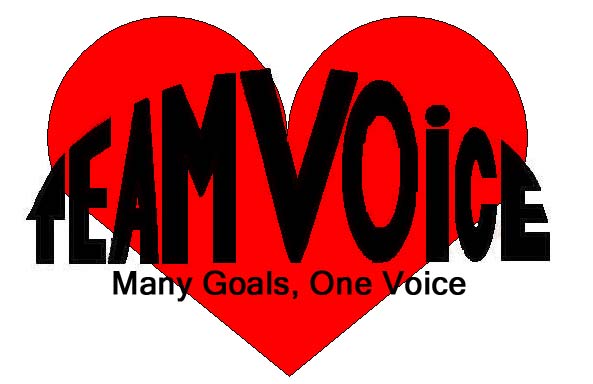 [Team+Voice,+heart,+goals,black+copy.jpg]