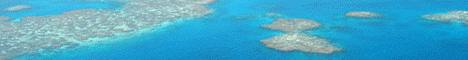 [CoralWatch+Banner+Ad.gif]