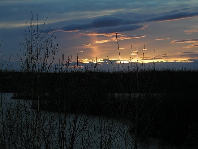 [sunset.MD2008.jpg]
