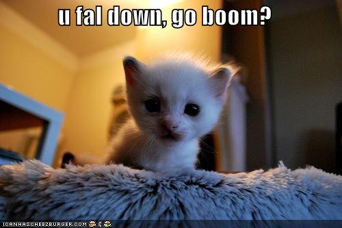 [funny-pictures-kitten-asks-if-you-fell-down.jpg]