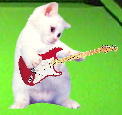 [guitar+kitty.jpg]