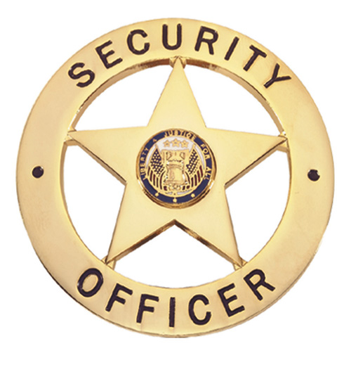 [security+badge.jpg]