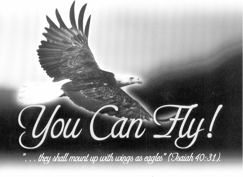 [You+Can+Fly.bmp]