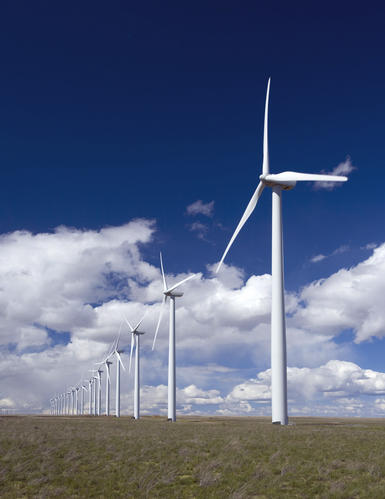 [Line+of+wind+turbines.jpg]