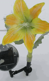 [solar+flower.gif]