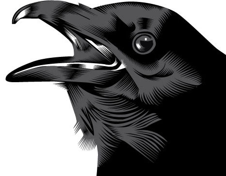 [blackbird2bwhead1.jpg]