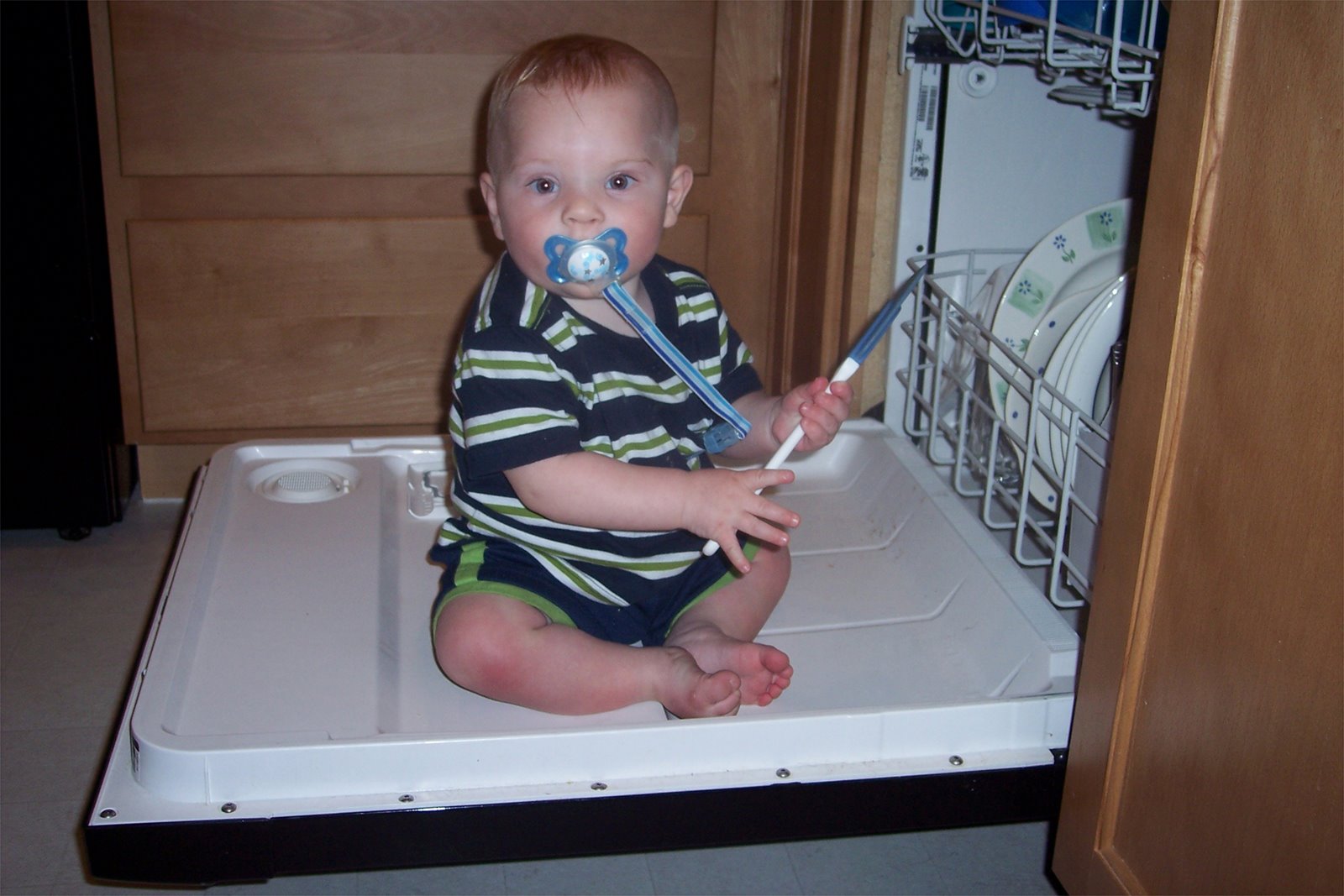 [Dishwasher+caught.JPG]