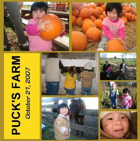 [Pucks+Farm+Collage.jpg]