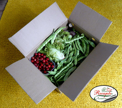 [R3-Recapte-vegetable-box.jpg]