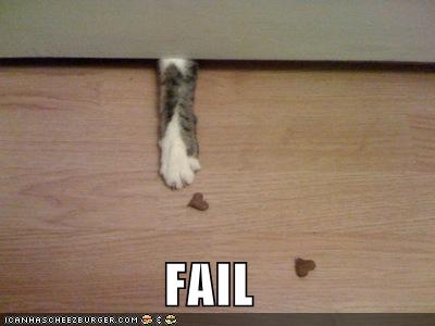[funny-pictures-fail-cat-paw.jpg]