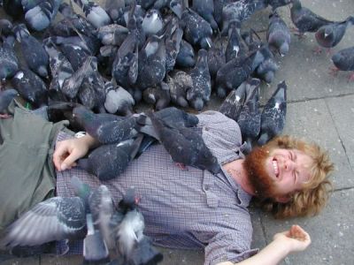[pigeons+hungry.jpg]