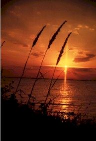 [Padre_Island_National_Seashore_-_sunset.jpg]