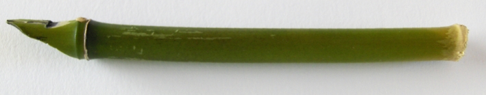 [bamboo+pen.jpg]