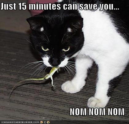 [funny-pictures-just15minutes-geico.jpg]