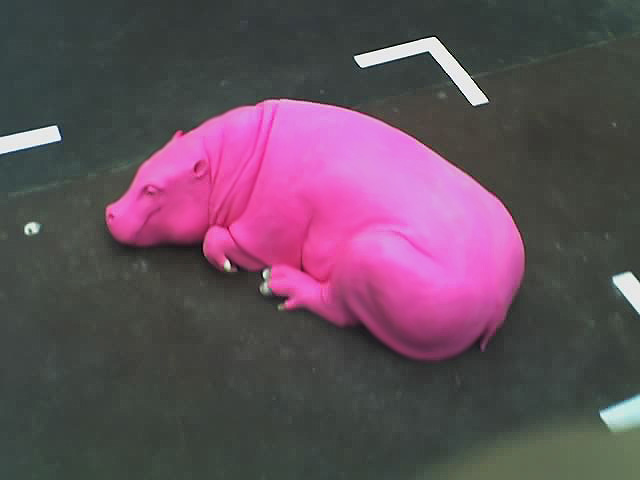 [pink+hippo.jpg]