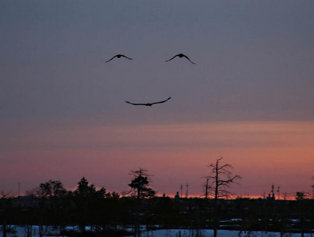 [nature+smiles.jpg]
