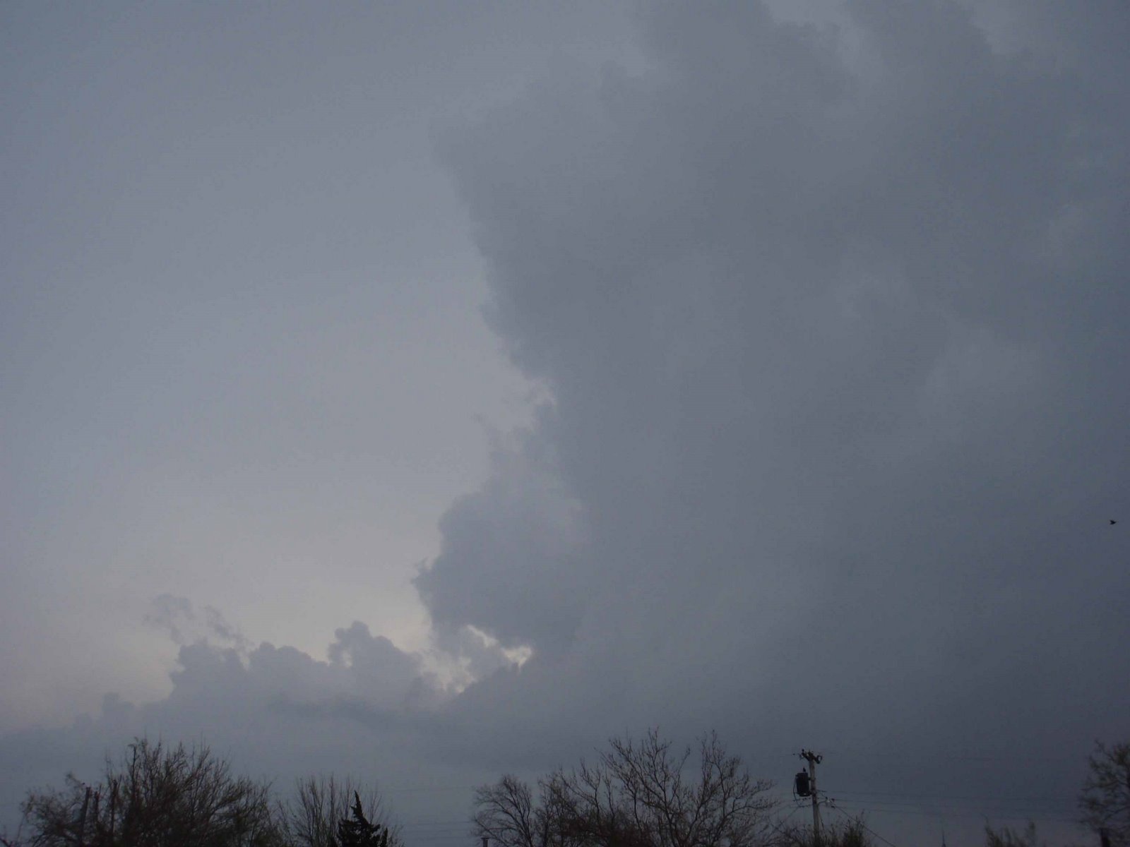 [thundercloud+from+march.jpg]