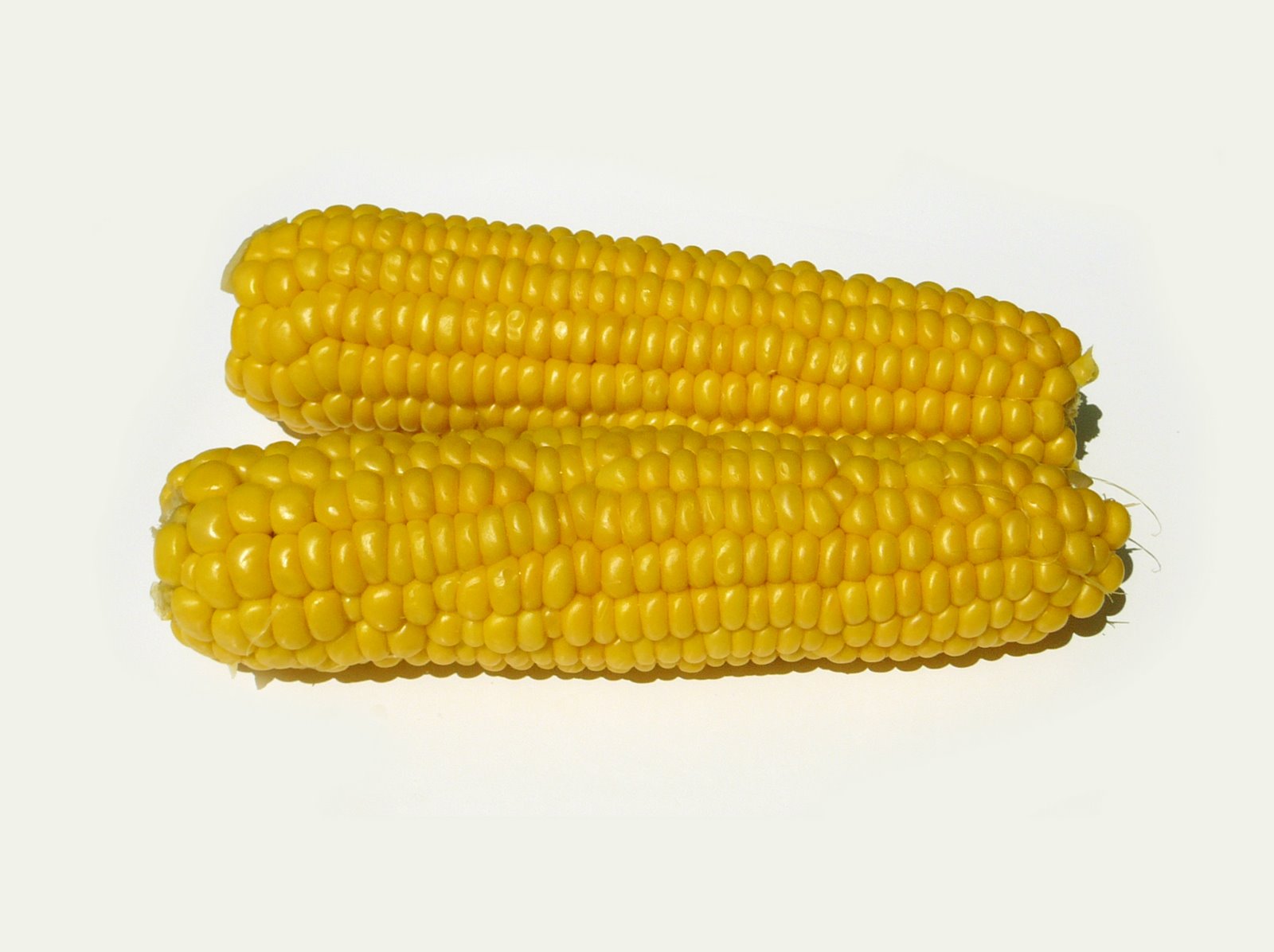 [1-25-2008+Corn.jpg]