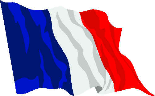 [French%20flag.jpg]