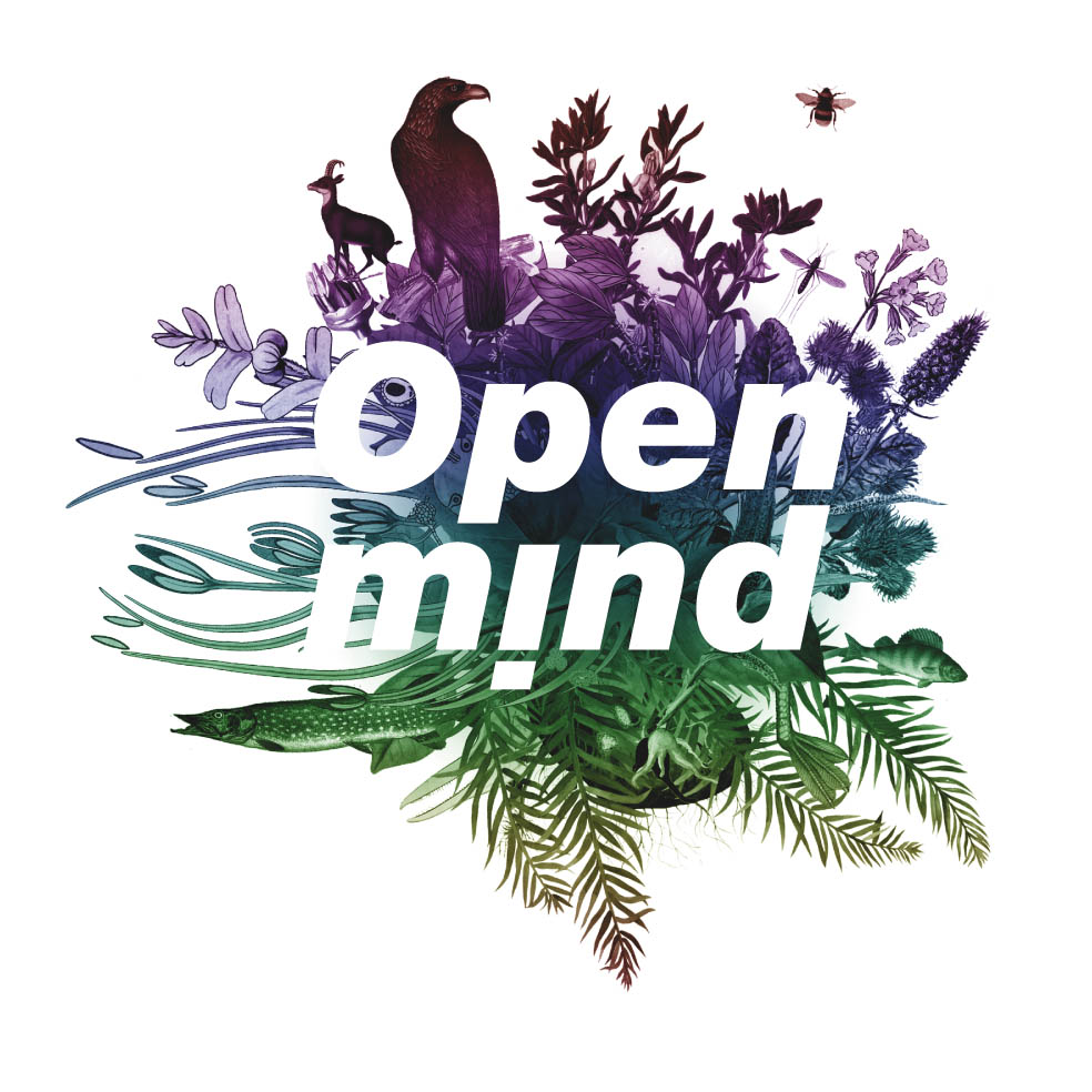 [Open+mind+logo+LR.jpg]