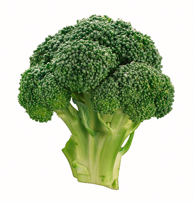 [Broccoli.jpg]