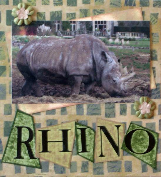 [rhino.jpg]