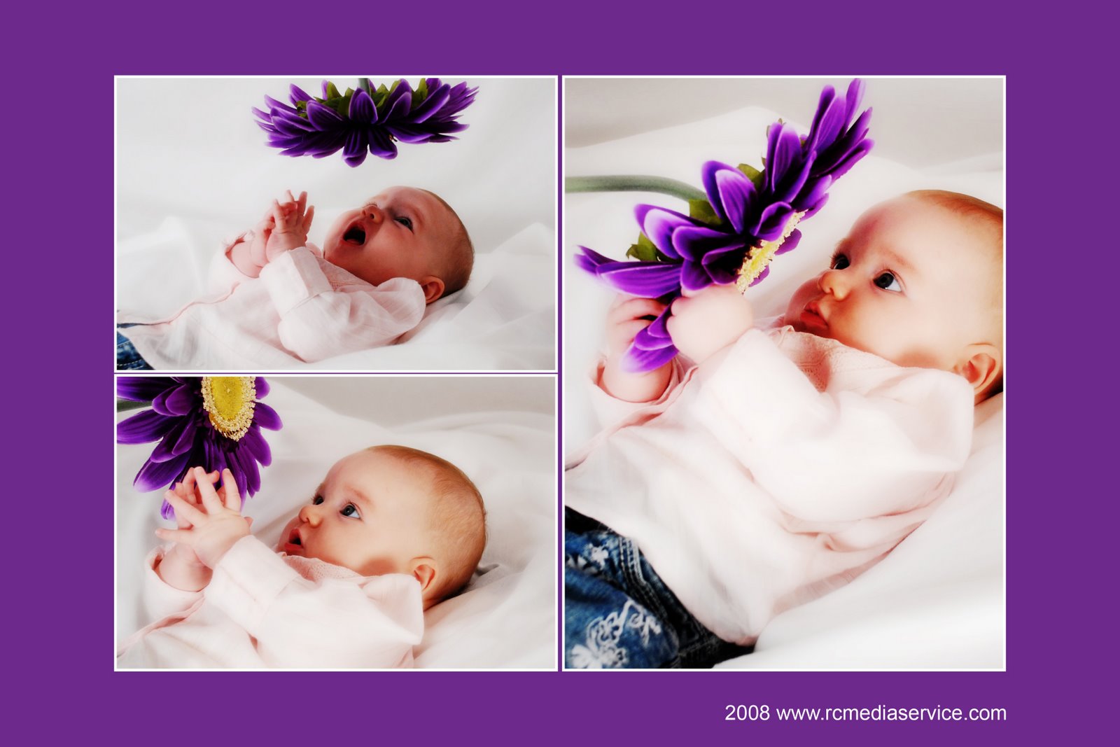 [Composite+Purple+Flower+4x6+copyright.jpg]
