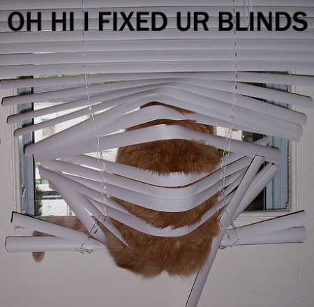 [blinds+2.jpg]