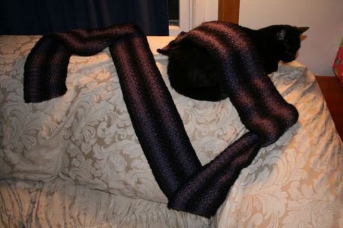 [2007-02-08-knitweave-scarf.jpg]