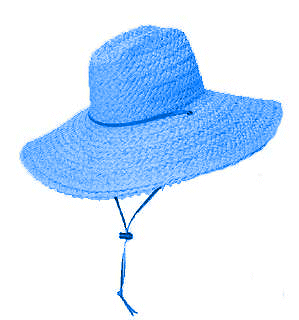 [hat_blue.gif]