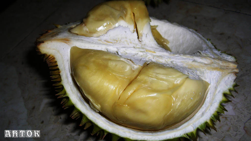 [Durian.jpg]